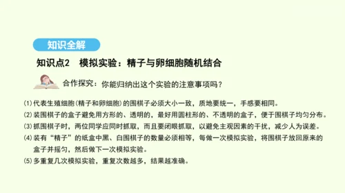 7.2.4人的性别遗传课件-人教版生物八年级下册(共31张PPT)