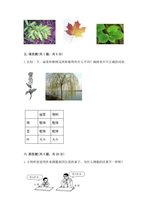 教科版一年级上册科学期末测试卷（突破训练）.docx