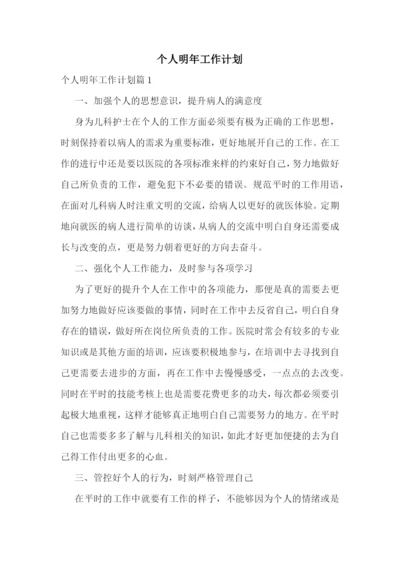 个人明年工作计划.docx