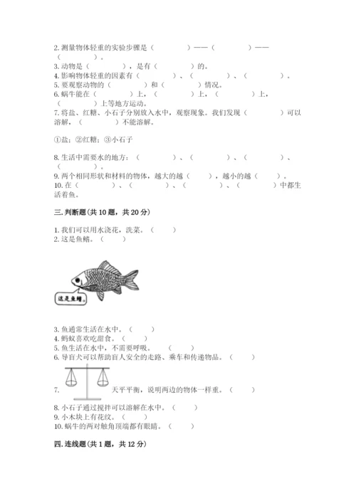 教科版一年级下册科学期末测试卷【能力提升】.docx