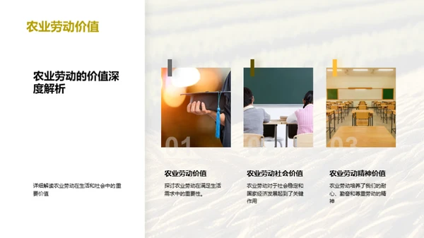 农业劳动之美