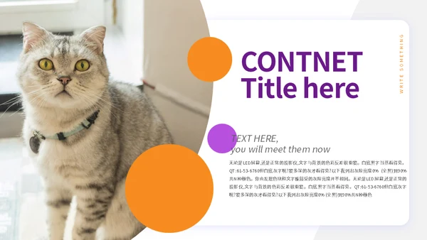宠物小狗狗泰迪犬通用PPT模板