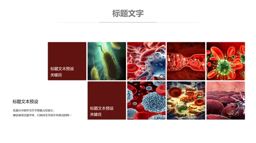 医疗细菌病毒微生物细胞组织动态ppt模板