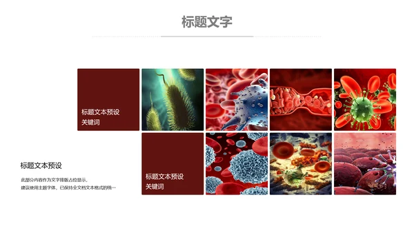 医疗细菌病毒微生物细胞组织动态ppt模板