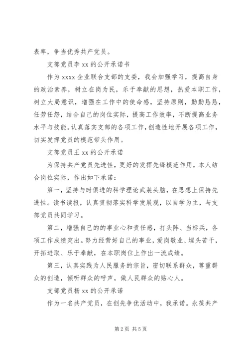支部党员公开承诺书(20XX年).docx