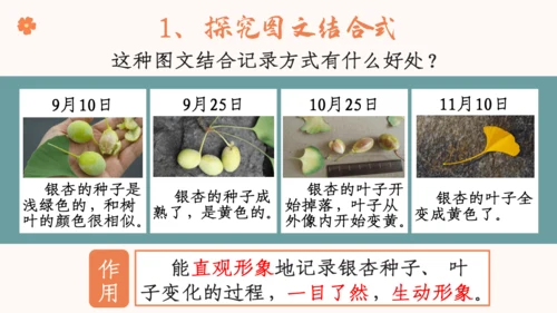 【四上课件】习作三：写观察日记