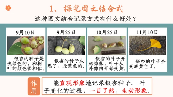【四上课件】习作三：写观察日记
