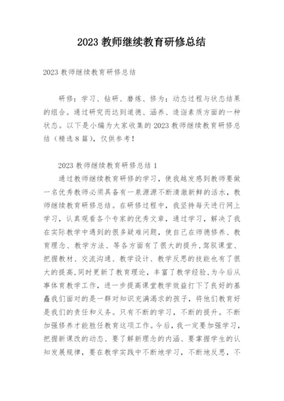 2023教师继续教育研修总结.docx