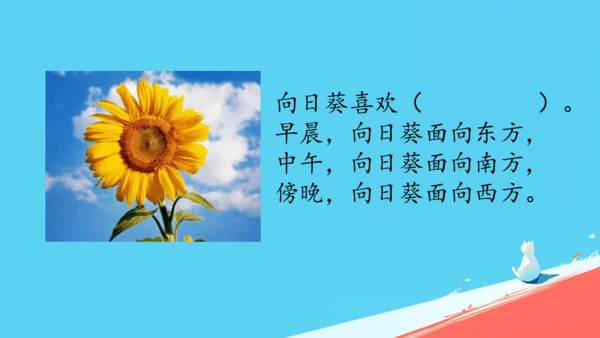 17要是你在野外迷了路课件
