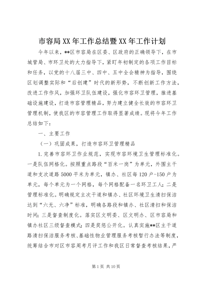 市容局XX年工作总结暨XX年工作计划.docx