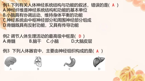 第四单元第五、六章复习课件(共33张PPT)人教版七年级下册