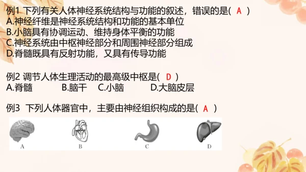 第四单元第五、六章复习课件(共33张PPT)人教版七年级下册