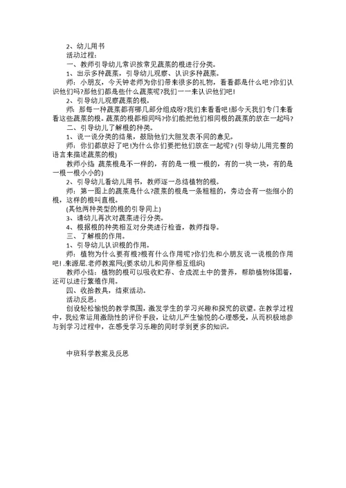 中班科学教案及反思
