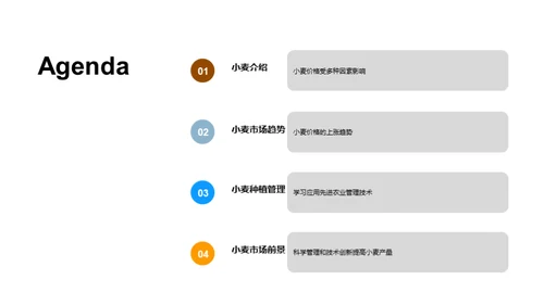 小麦产业探秘