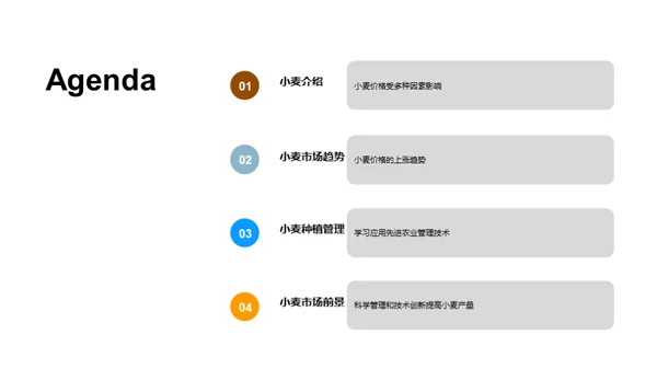 小麦产业探秘