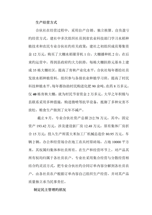 工农兵村水稻专业合作社示范专项项目可行性专题研究报告.docx