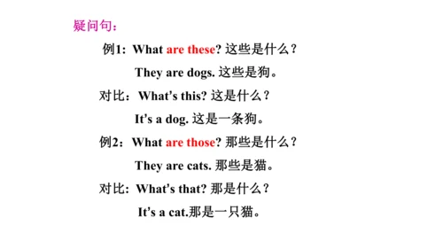 Unit 6  Would you like to take a trip? 单元知识梳理（单词+句