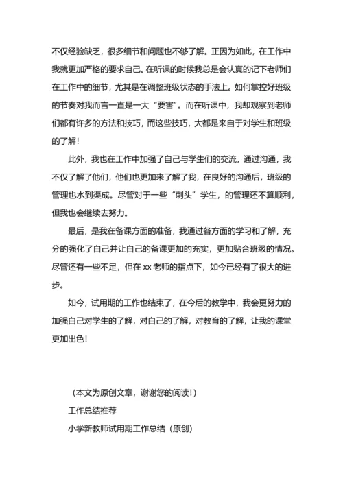 初中教师试用期工作总结简短（原创）.docx