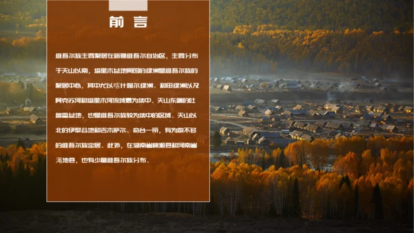 少数民族民俗文化之维吾尔族知识PPT模板