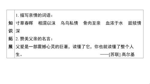 统编版语文五年级上册第六单元核心知识梳理课件