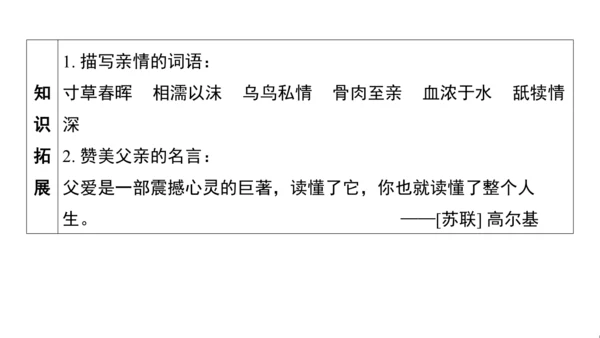 统编版语文五年级上册第六单元核心知识梳理课件