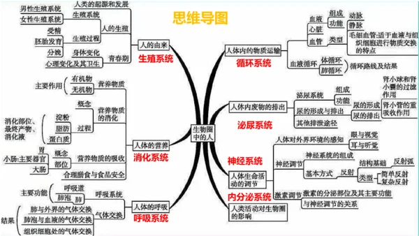 第四单元 生物圈中的人 七年级生物下册同步精品课件（人教版）(共31张PPT)