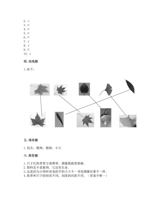 教科版一年级上册科学期末测试卷（能力提升）.docx