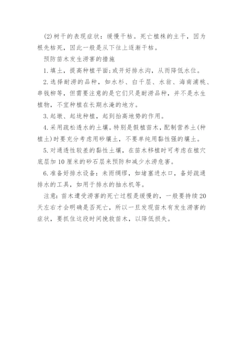 如何防治苗木的涝害.docx