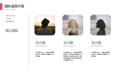 黑色质感酷酷的斜纹几何商业计划书通用PPT模板
