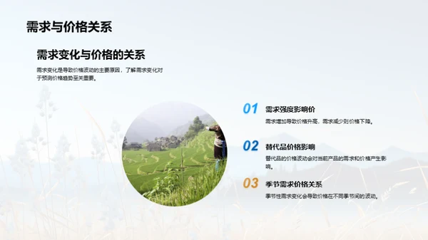 农业收益全面分析