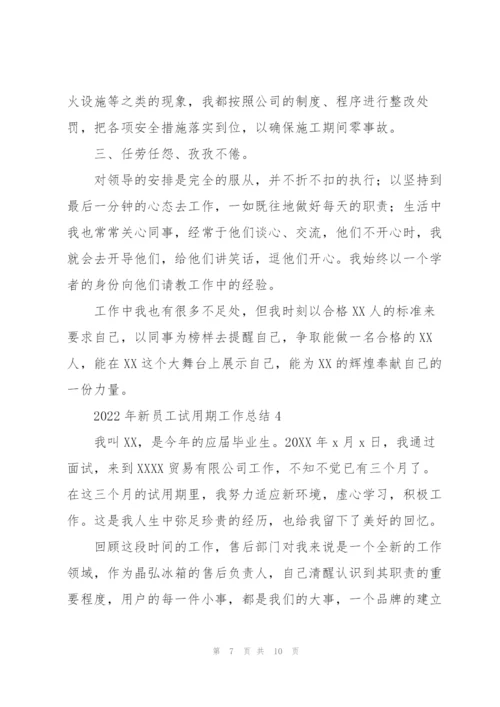 2022年新员工试用期工作总结.docx