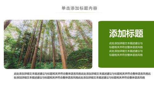 原始森林湿地植树造林森林环保PPT模板