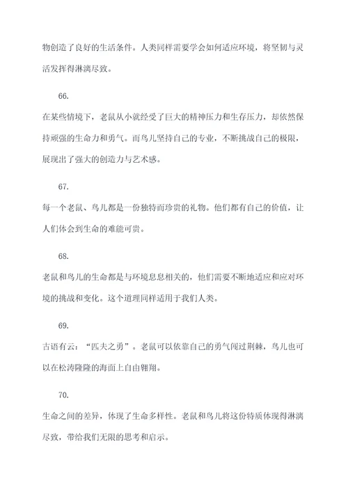 老鼠和鸟谚语