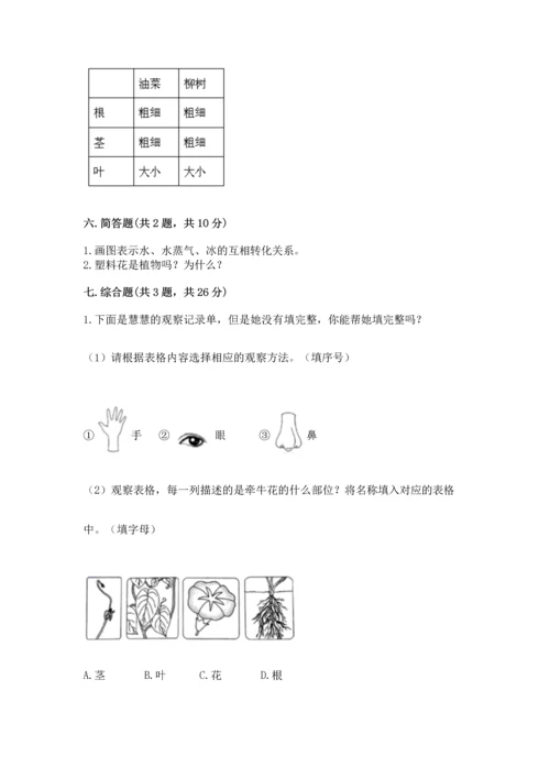 教科版科学一年级上册第一单元《植物》测试卷（实验班）.docx