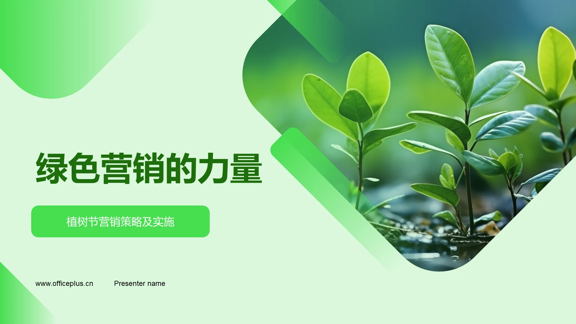 绿色营销的力量