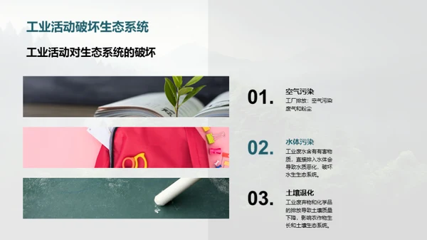 生态守护：我们的责任