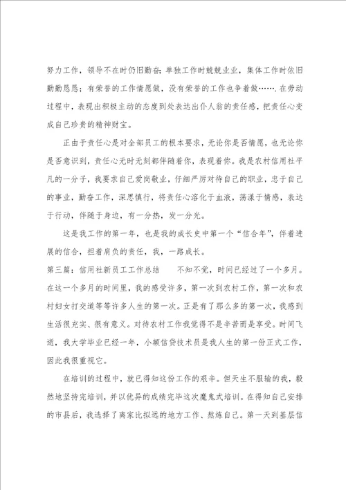 信用社新员工工作体会