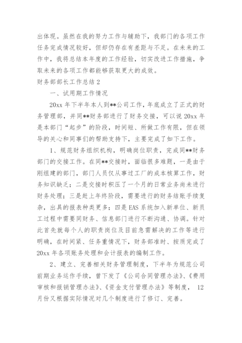财务部部长工作总结.docx