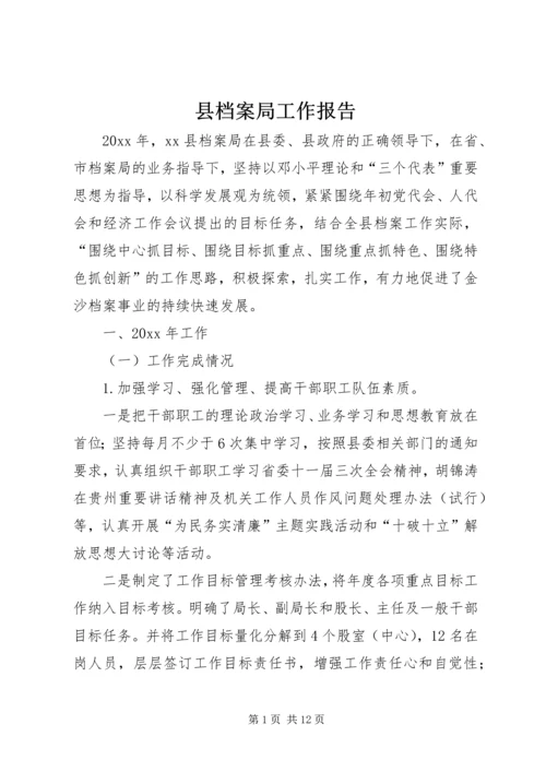 县档案局工作报告 (5).docx