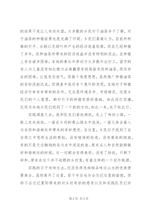 实践队某年终工作总结范文.docx