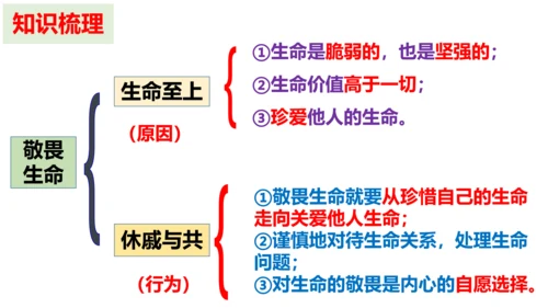 第八课  探问生命复习课件（19张PPT）