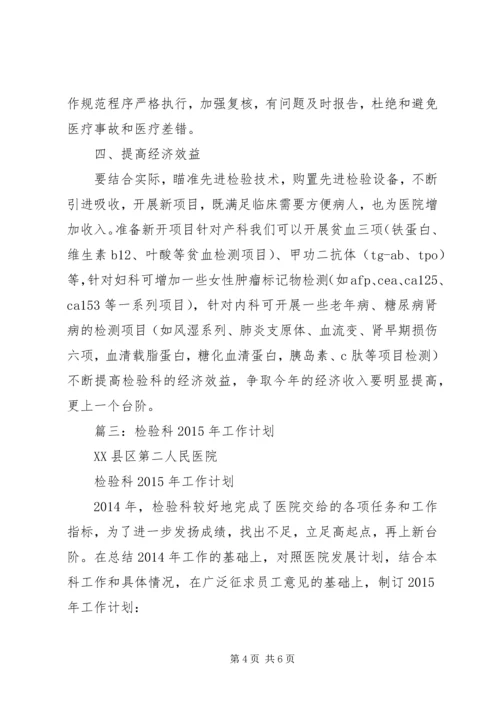 篇一：XX年检验工作计划 (2).docx