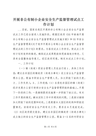 开展非公有制小企业安全生产监督管理试点工作计划 (4).docx