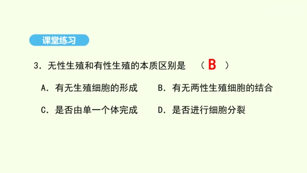 7.1.1植物的生殖课件-人教版生物八年级下册(共33张PPT)