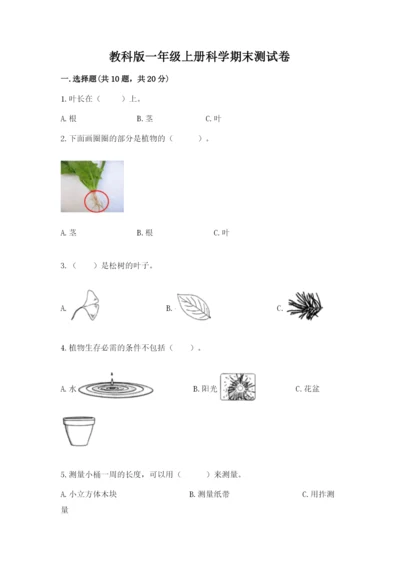 教科版一年级上册科学期末测试卷附参考答案（考试直接用）.docx