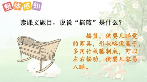 23祖先的摇篮（课件）