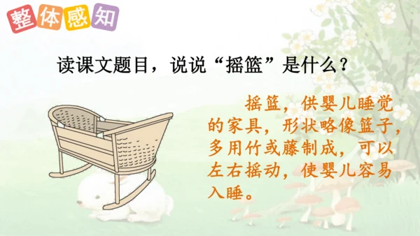 23祖先的摇篮（课件）