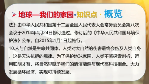 第二单元 爱护地球共同责任（复习课件）-2023-2024学年六年级道德与法治下学期期中专项复习（统