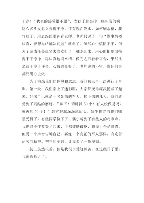在初三的日子里作文800字-1.docx