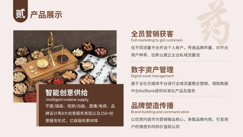 棕色中医药产品介绍PPT模板